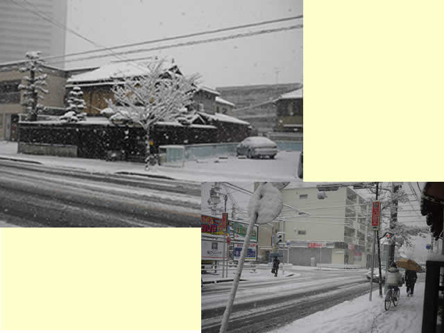 名古屋も大雪